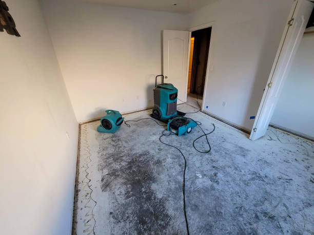 Best Water damage restoration near me  in Socorro, NM