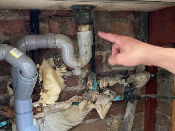 Best 24/7 water damage repair  in Socorro, NM